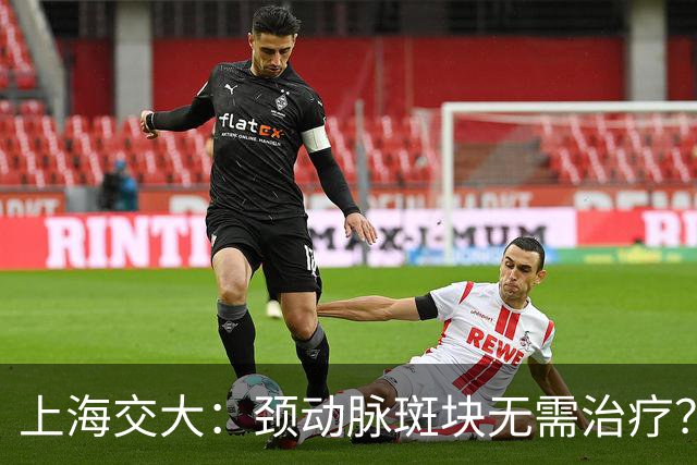 上海交大：颈动脉斑块无需治疗？真相可能让你大吃一惊