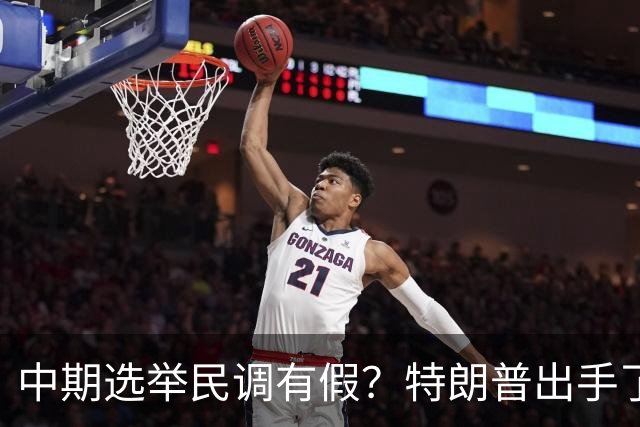 中期选举民调有假？特朗普出手了