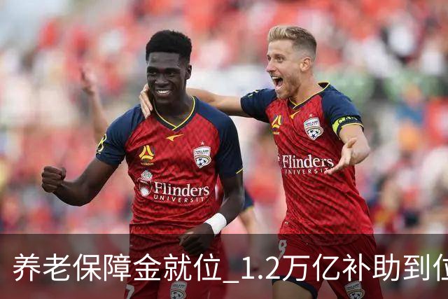 养老保障金就位 1.2万亿补助到位，26年养老金调整发文时间引关注