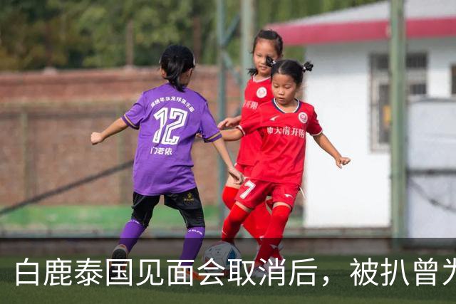 白鹿泰国见面会取消后，被扒曾为缅北拍宣传片，知情人爆更多内幕
