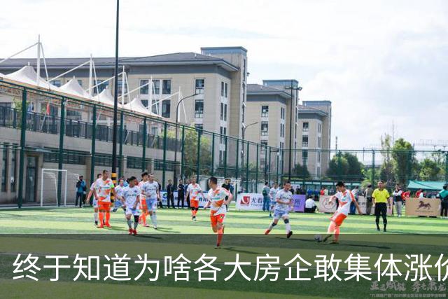 终于知道为啥各大房企敢集体涨价了，原来是全球资本围猎中国房产