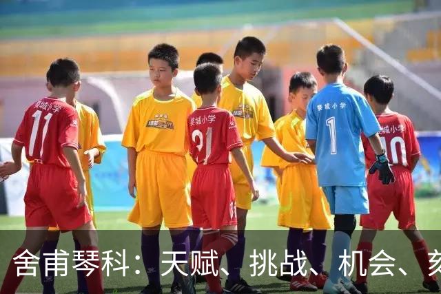舍甫琴科：天赋、挑战、机会、刻苦训练、纪律让球员变得更好