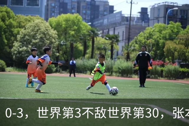 0-3，世界第3不敌世界第30，张本智和无缘WTT蒙彼利埃冠军赛男单16强