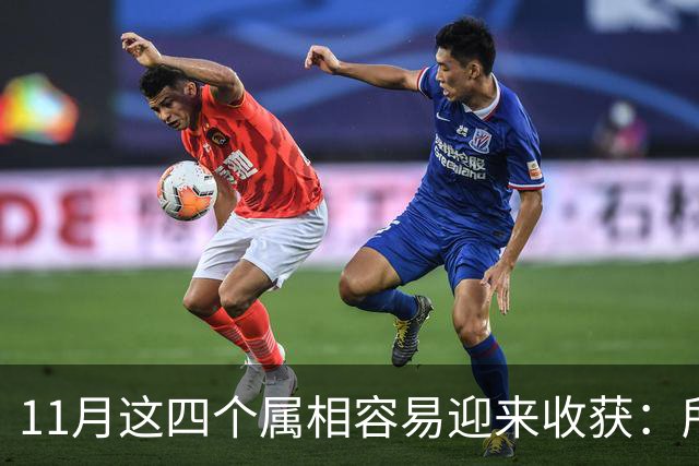 11月这四个属相容易迎来收获：所有惊喜，都是长期默默耕耘的结果