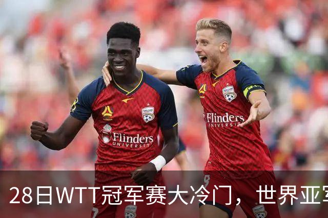 28日WTT冠军赛大冷门，世界亚军遭遇一轮游，王艺迪渔翁得利