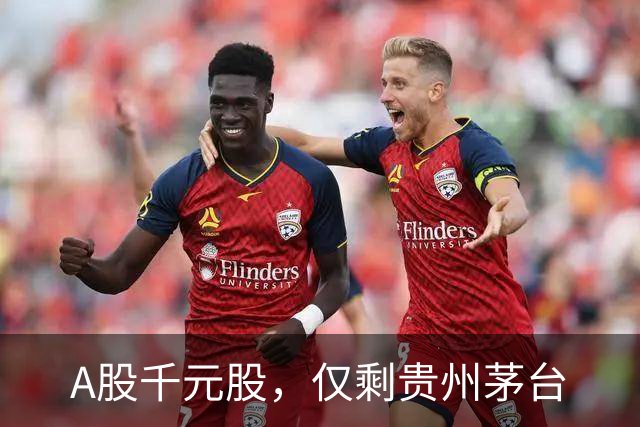 A股千元股，仅剩贵州茅台